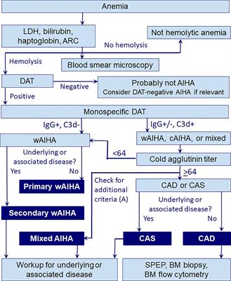 The choice of new treatments in autoimmune hemolytic anemia: how to pick from the basket?